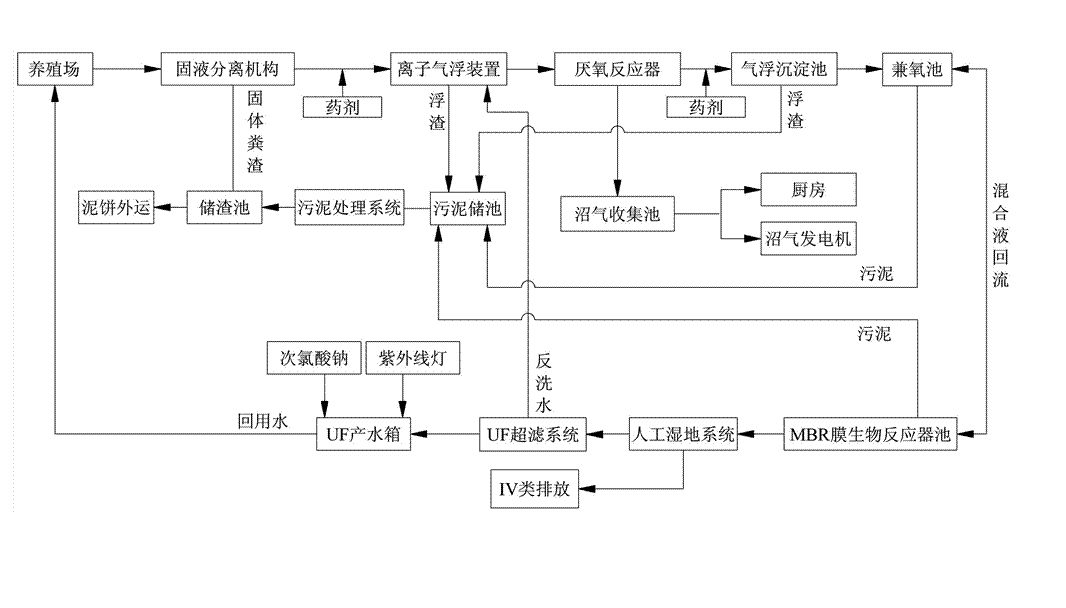 農(nóng)村養(yǎng)殖戶如何低成本有效處理污水，這兩種做法你應該知道!02